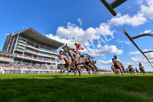 240824-Race 6-Tropical Storm-4638 - Race 6 4.45pm Julia Graves Roses Stakes