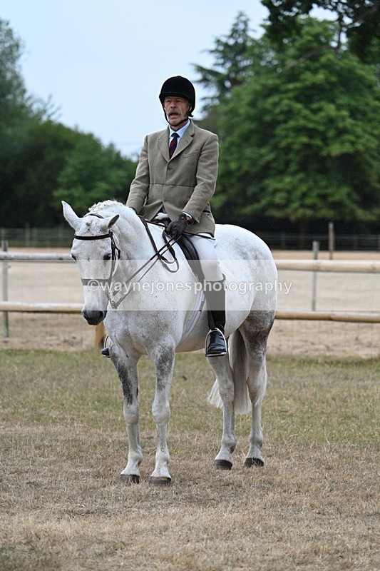 WJ7_0791 - Class 7 Riding Club Show Horse
