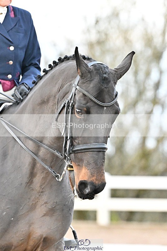 241214-152414-03216 - 123-Susan.Lanz-Wellshead.Foxtrot