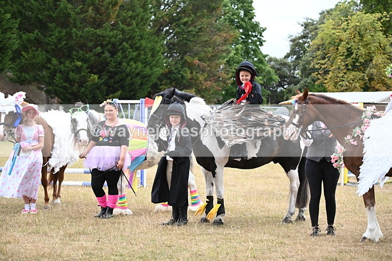 WJ6_9237 - Class 11 Fancy Dress