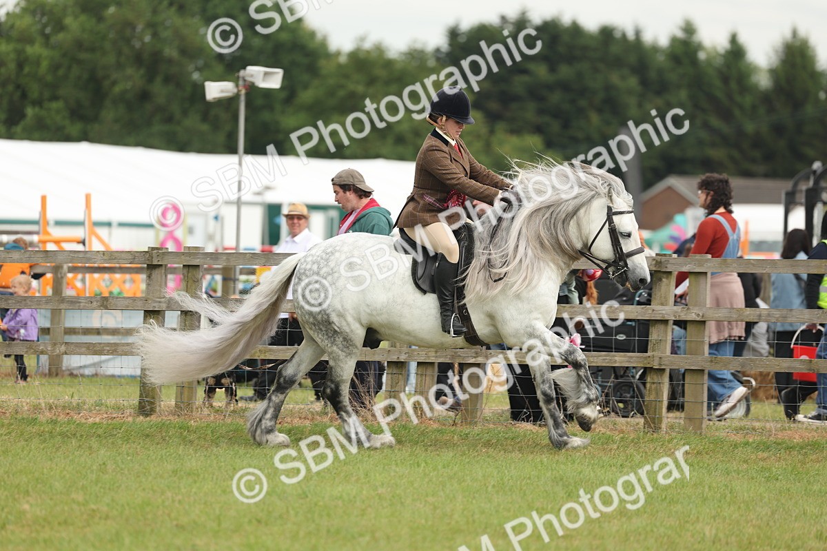 SBM_09121 - Class 78-80 - Ridden M&M Non Welsh Ponies