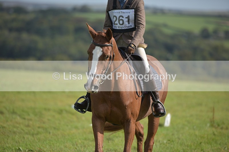 RAY_7830 - Class 2B: Trekenning Open: Dressage