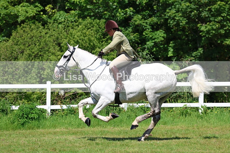 3E7A6919 - Class 30: Novice Working Hunter
