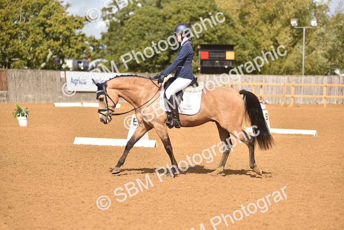 SBM_42309 - D22 - Junior Championship Intro 3