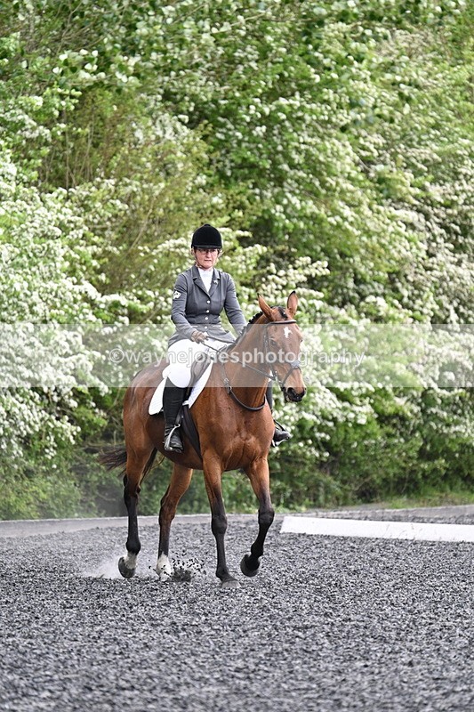 WJ7_1162 - Time 14:16 to 14:55