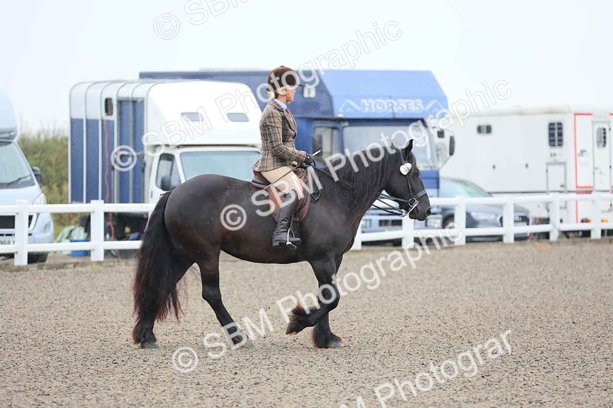 SBM_19832 - Class 801 - Ridden Veteran