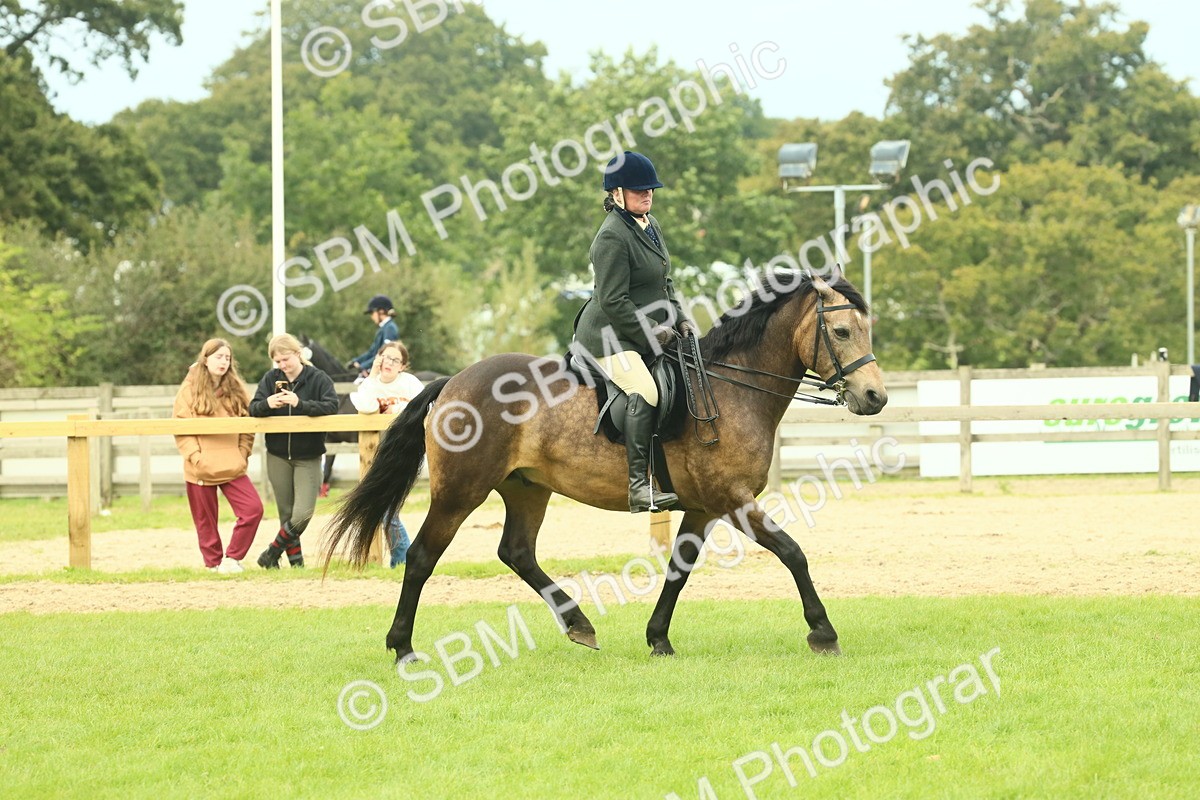 SBM_71947 - S60 - Mountain & Moorland Ridden Large Breeds