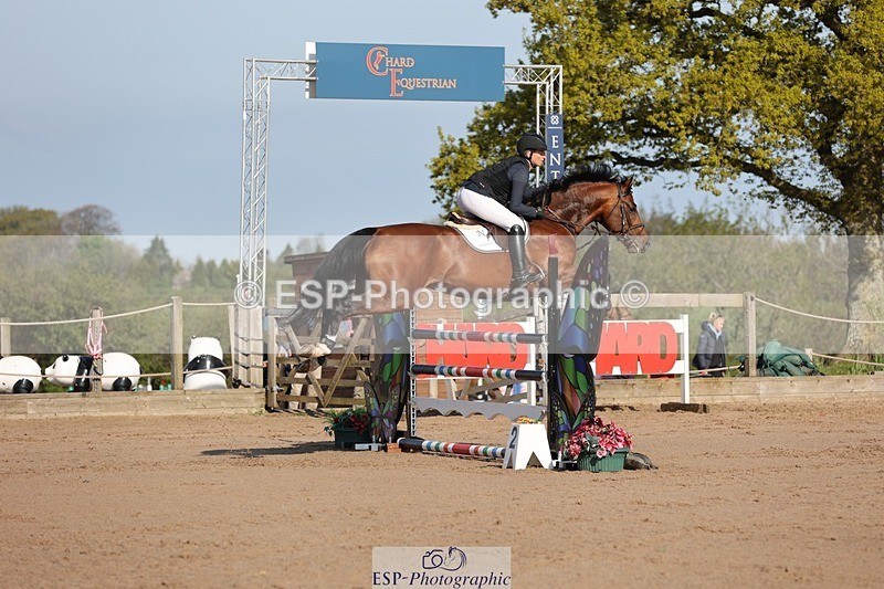 250427-090143-14724 - Cls 28 Young Horse 5yr old