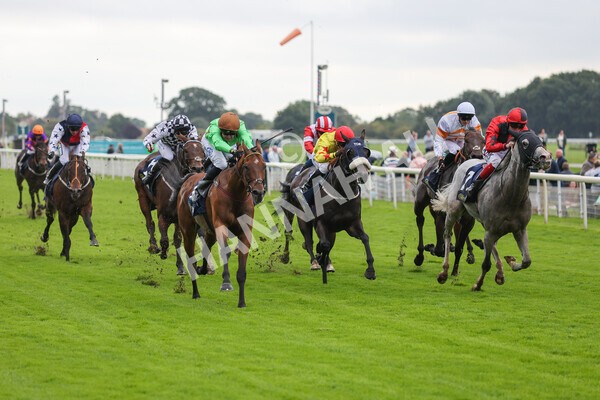 yr24092021r3-24 - Race 3 2.40pm WilliamHill.com Best Odds Guaranteed Stakes