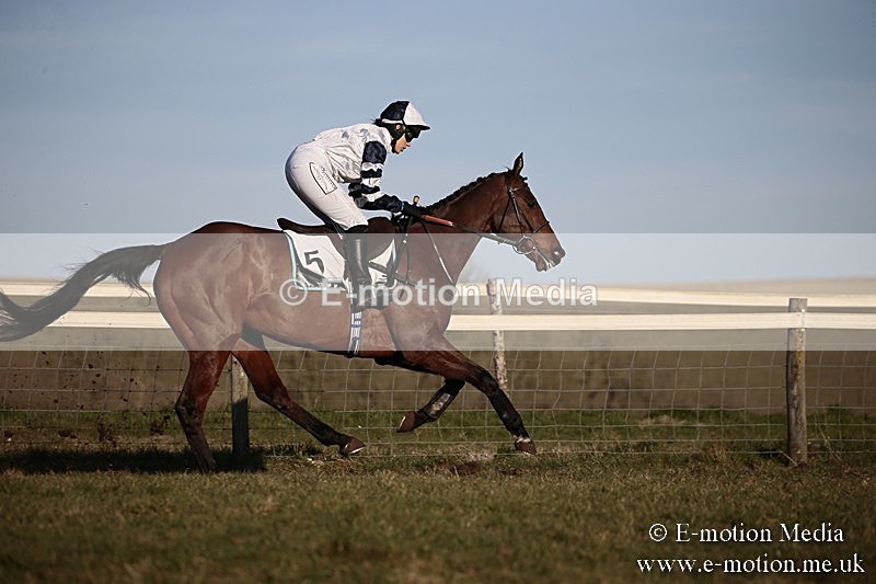 PtP 240218 671 - Vine & Craven Hunt Point-to-Point Barbury racecourse 24/02/18