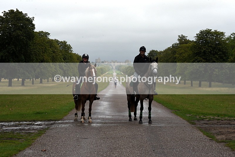 TT3_8294 - Time at Crossing 10:16 to 11:38