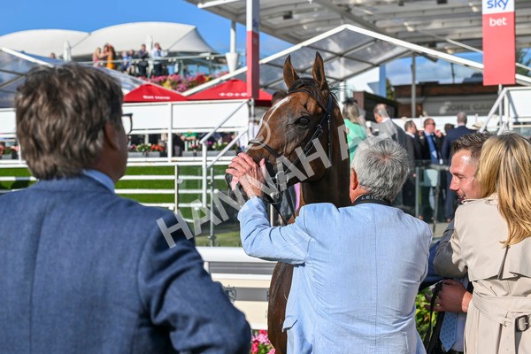 240824-Race 7-Sir Busker-2112 - Race 7 5.20pm Sky Bet Finale Handicap
