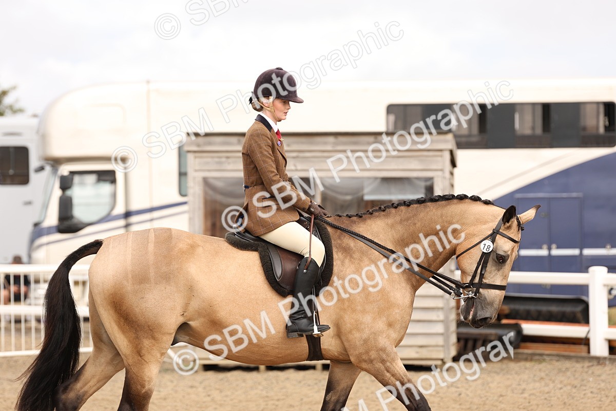 SBM_01589 - Class 52 - Ridden Veteran