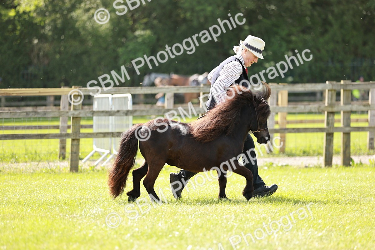 SBM_01883 - Class 14-23 - Mountain & Moorland In Hand Non Welsh