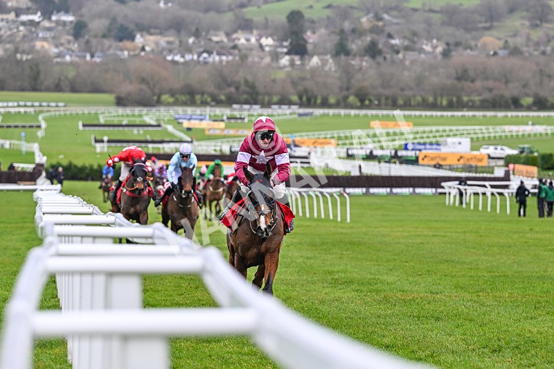 240126-Race 4-Favori De Champdou-6871 - Race 4