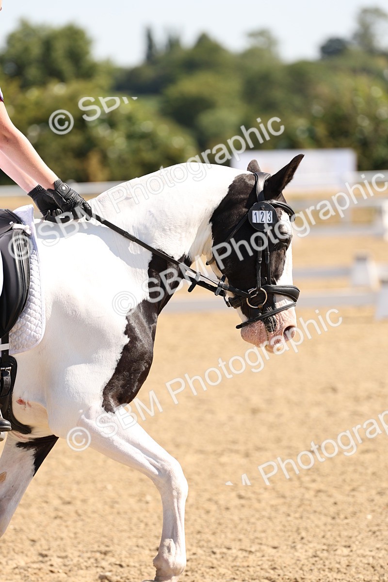 SBM_001003 - Intro 2