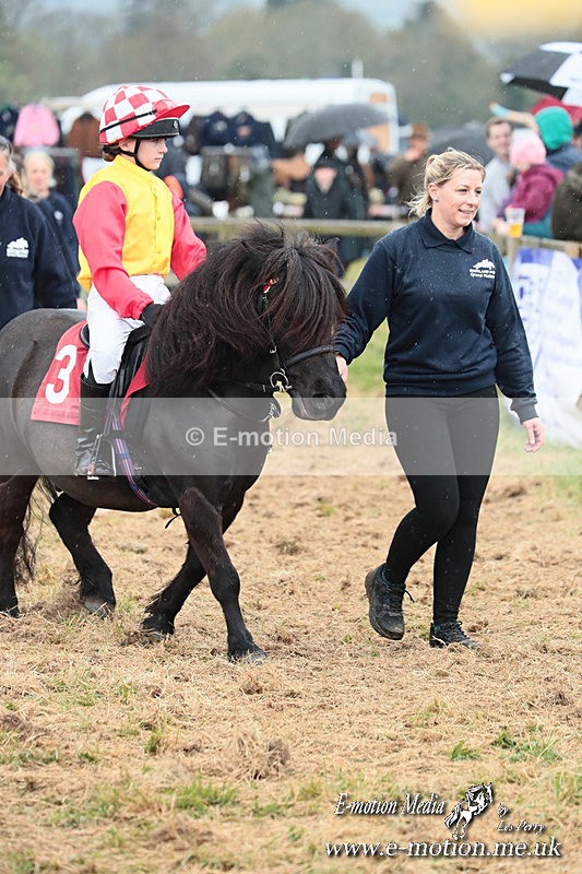 SHETPR 210425 65 - Shetland Ponies Paxford Races 21/04/25