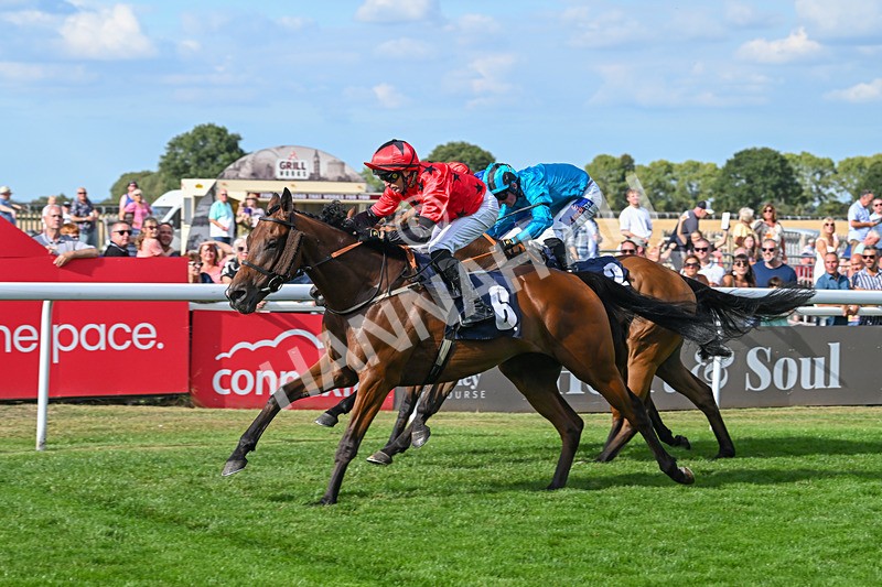 140825-Race 6-Sunny Orange-1834 - Race 6