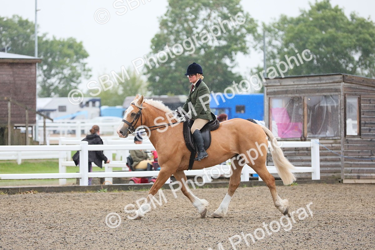 SBM_20340 - Class 803 - Ridden Combination 65+