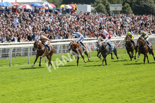 150723-Race 2-Nymphadora-8767 - Race 2 2.35pm John Smith's City Walls Stakes