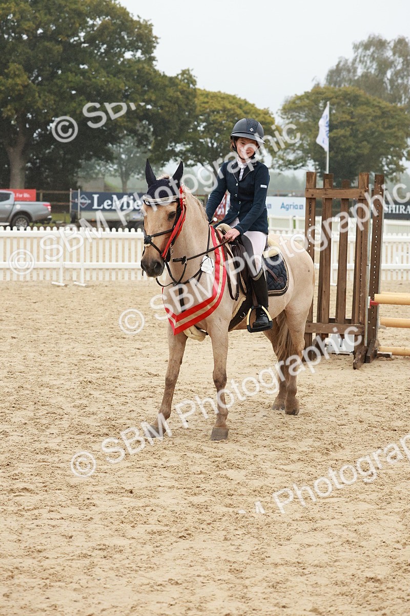 SBM_73492 - Supreme Championship Junior Pony 60cm & 65cm