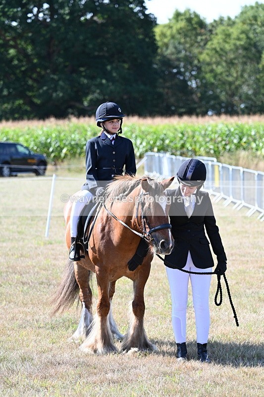 WJ7_3170 - Class 8 Ridden Tack & Turnout