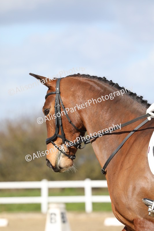 20260314-4652 - CT3 - Prelim 2