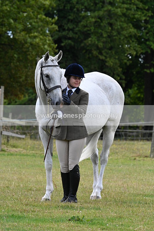 WJ7_7211 - Class 5a Most Handsome Gelding in Hand