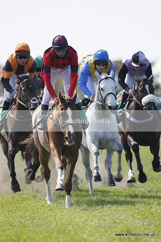  GRD 030510 146 - Guernsey Race Day 03/05/10