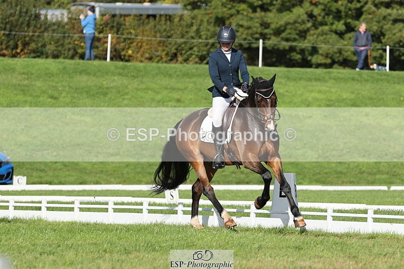 251024A-114136-10032 - D-354-Poppy.Burner