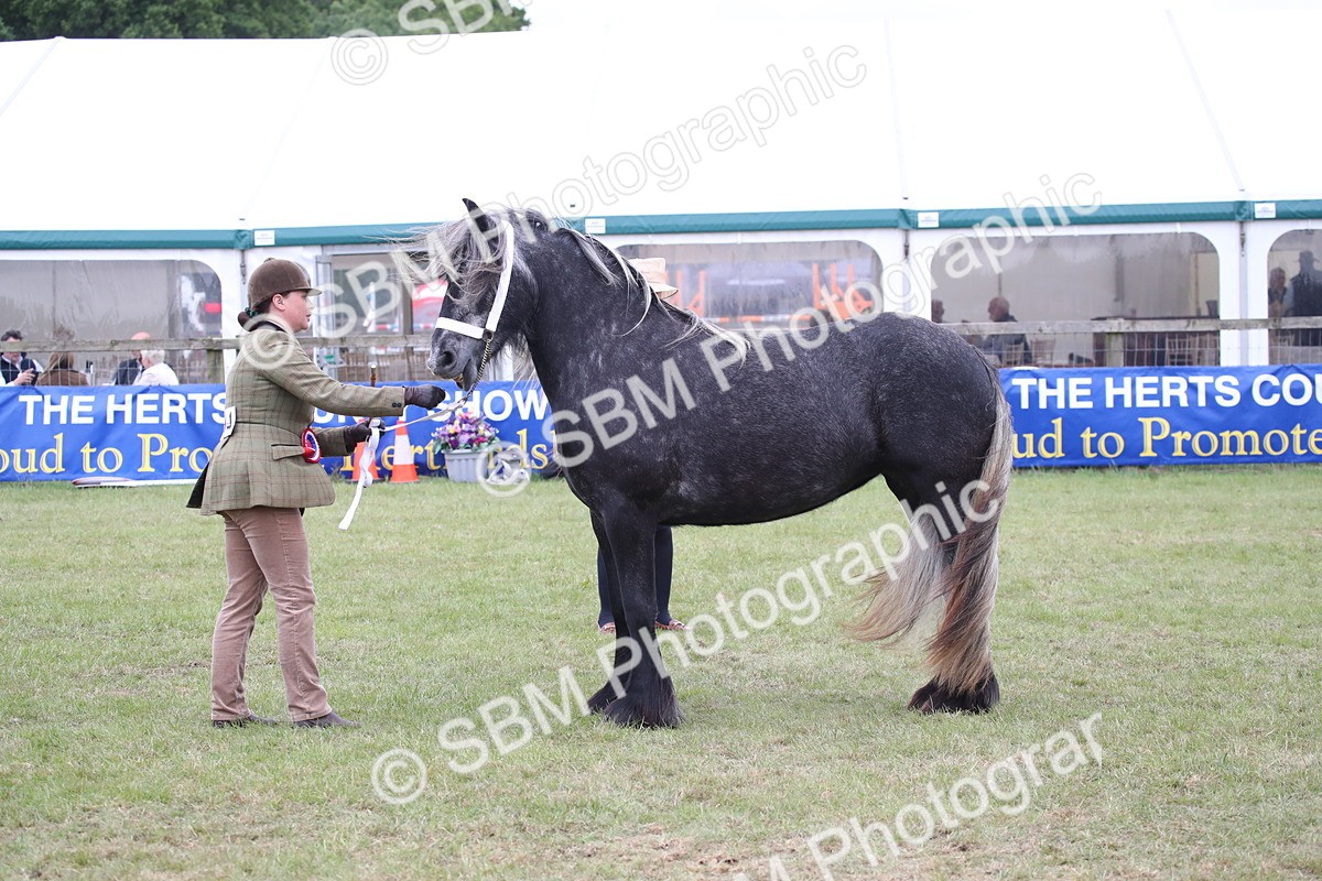 SBM_09854 - Ch 50 - Price Family Supreme In Hand