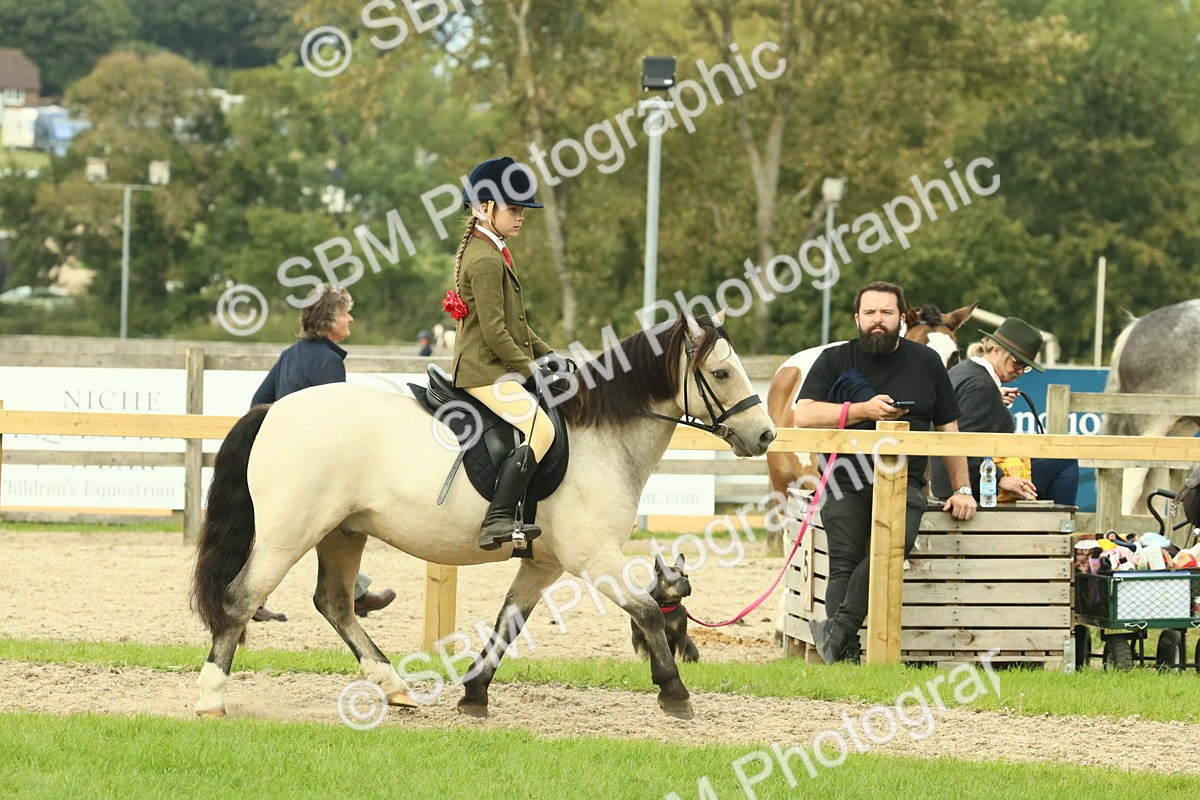 SBM_69943 - S59 - Mountain & Moorland Ridden Small Breeds