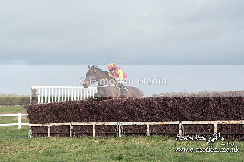 PtP 311223 564 - Larkhill Racing Club Point-to-Point 31/12/23