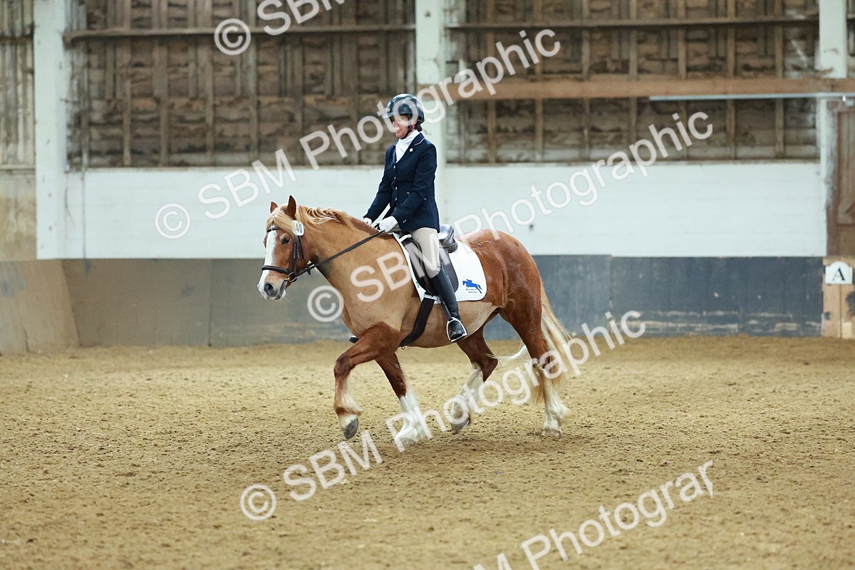 SBM_003661 - Novice 2