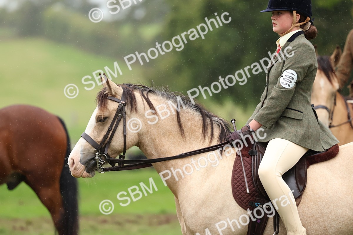 SBM_69680 - S62 - Mountain & Moorland Ridden Large Breeds