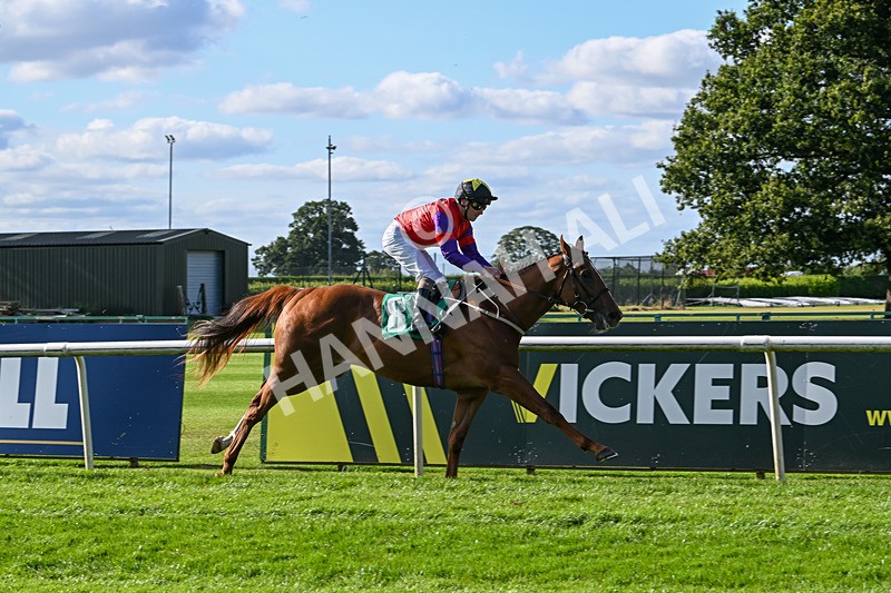 160824-Race 1-Thunder Wonder-8825 - Race 1