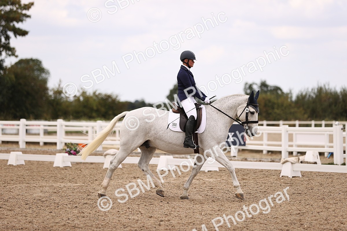 SBM_05930 - Class 37 Novice 5