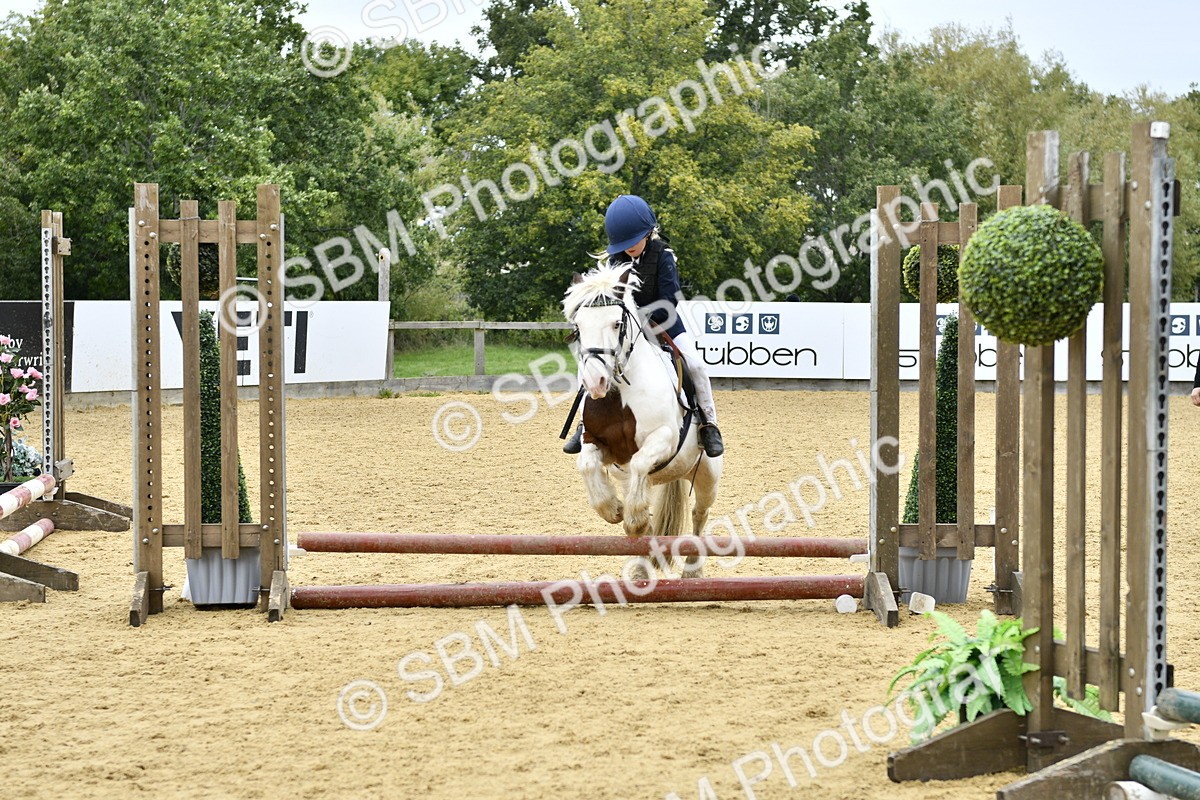 SBM_66185 - J2a mini Tour Junior Pony 30cm Championship