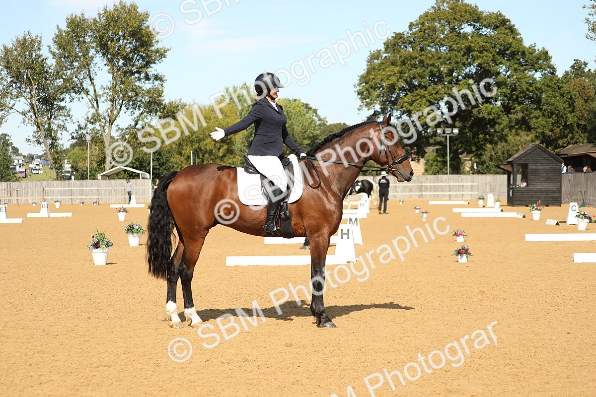 SBM_22298 - D17 - Grand Tour Championship - Novice 27