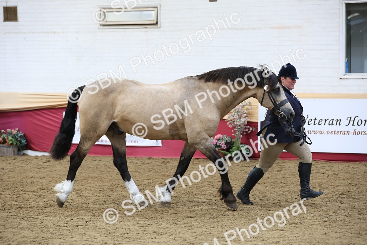 SBM_23672 - class 906 - Supreme Final - Ridden Pre Vet