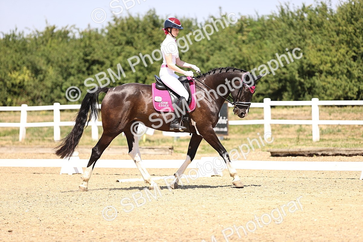 SBM_004047 - Intro 2