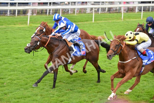 yr24072021r3-21 - Race 3 3.15pm Sky Bet York Stakes