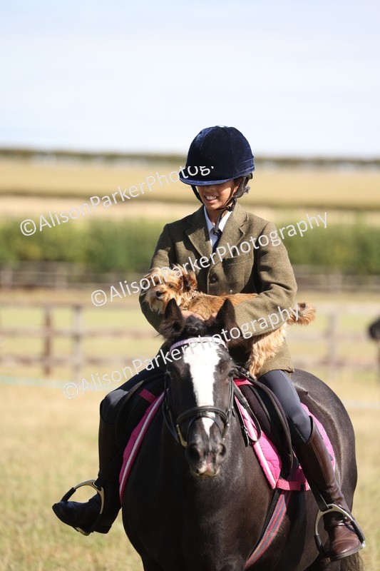 20260906-2186 - Class 16 - Family Pony