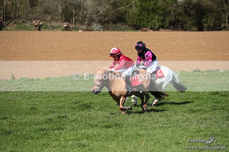 Shet 060426 168 - Shetland Pony Racing Paxford Races Easter Mon 06/04/26