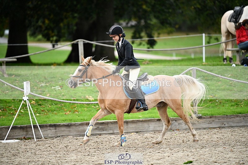 251004A-165818-02321 - Classes 10 & 11 80cm