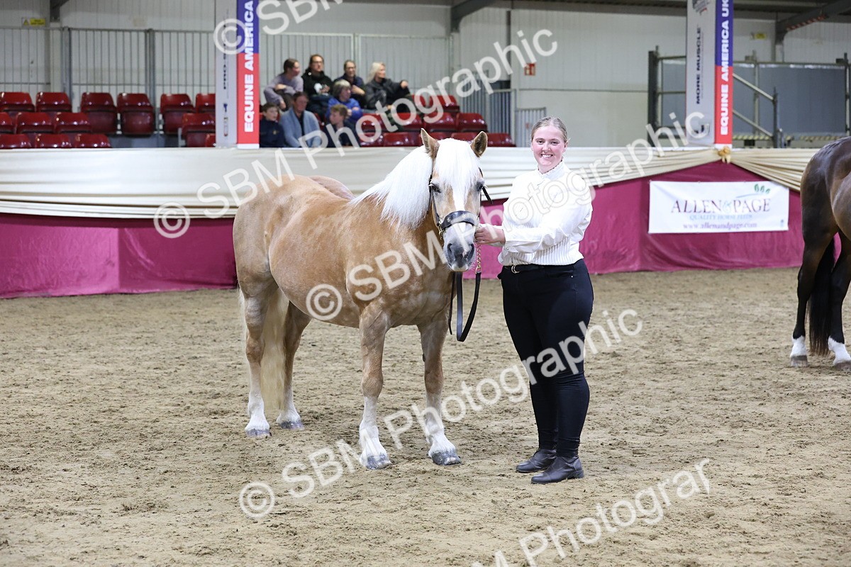 SBM_20727 - Class J - Foreign Breeds Champ