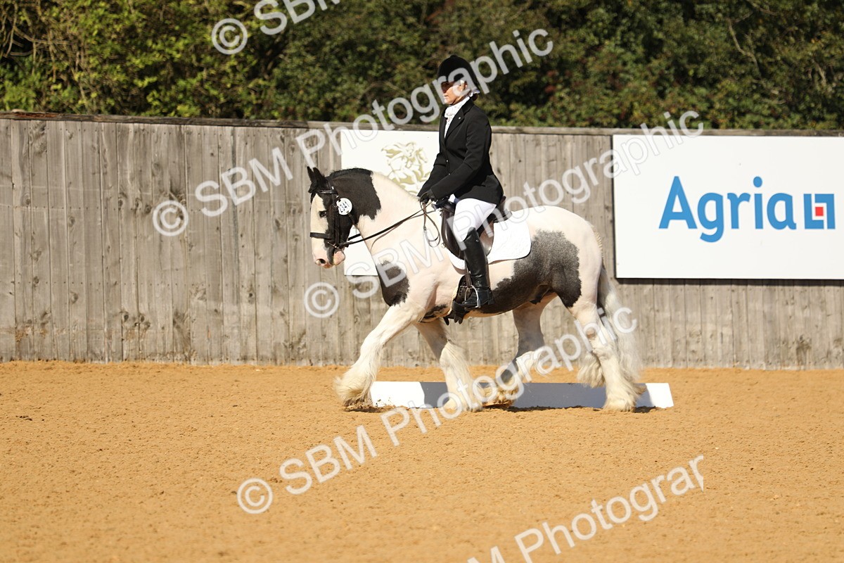 SBM_18867 - D10 - Small Tour Championship - Prelim 2