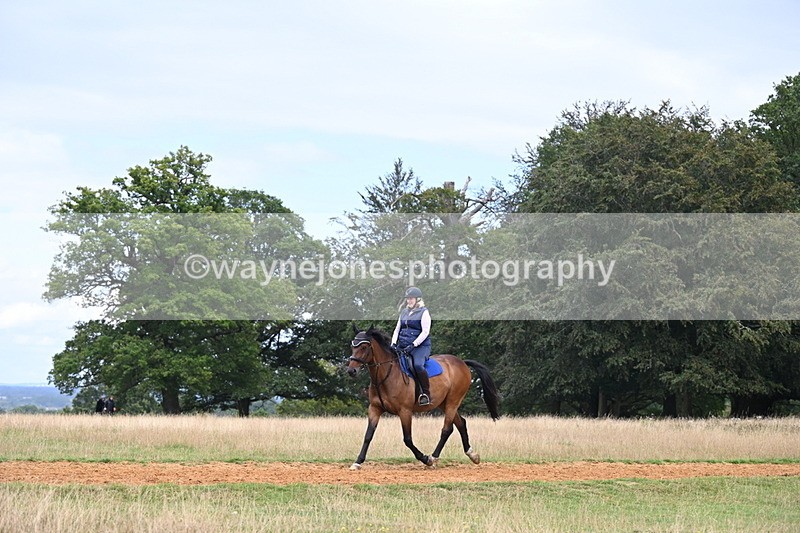 DSC_9112 - Time at Statue 14:33 to 15:10