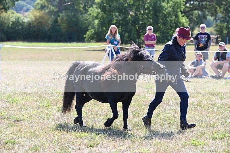 WJ6_4947 - Class 17 Mountain & Moorland