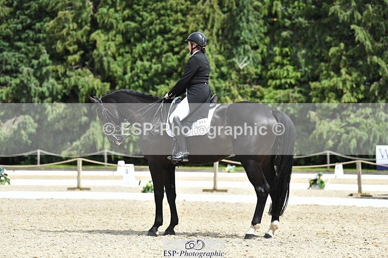 230812-135851-04558 - Cls 7 FEI PSG Bronze